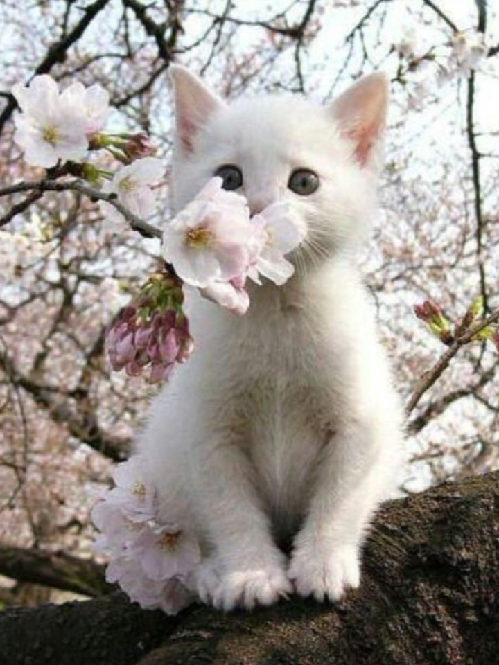 •Meu Ranking de hash