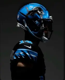 Detroit lions 