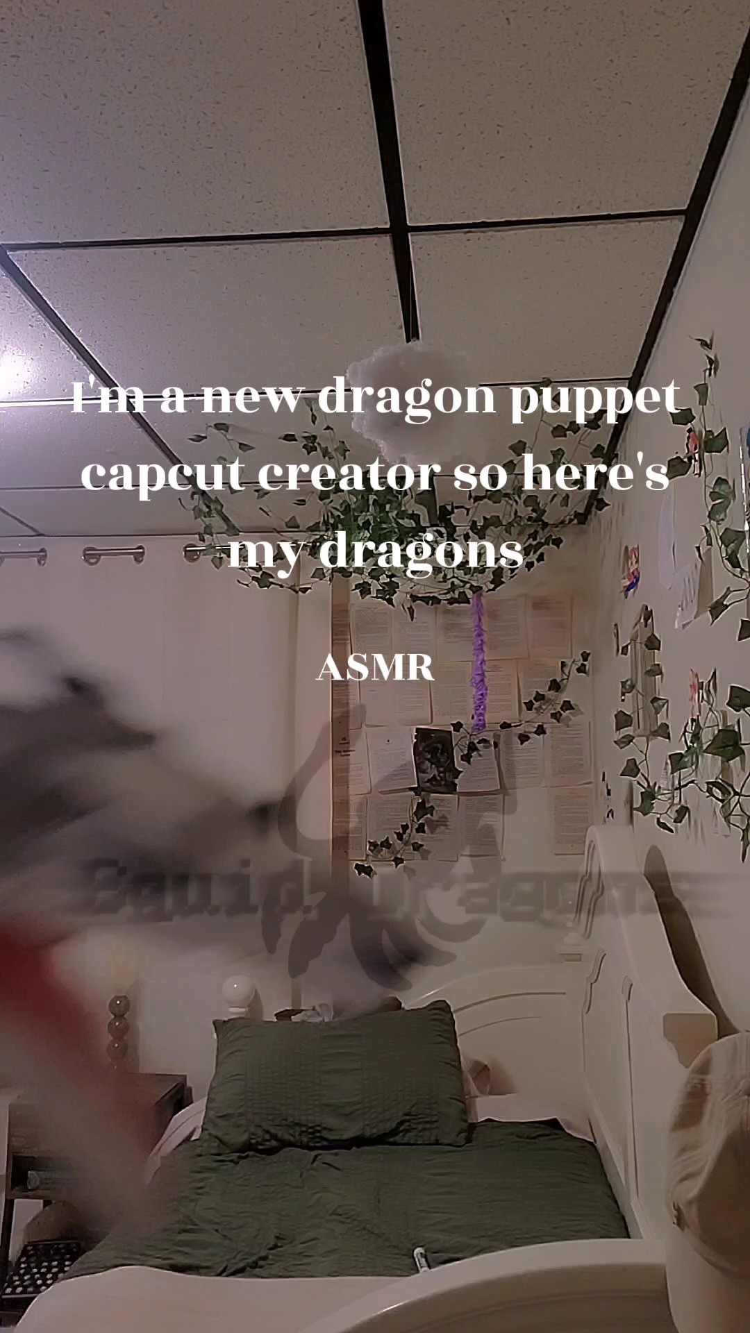 Dragon puppet ASMR