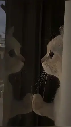 🫀🥺