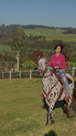 Cowtry sertanejo