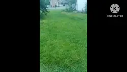 SpongeBob attacks