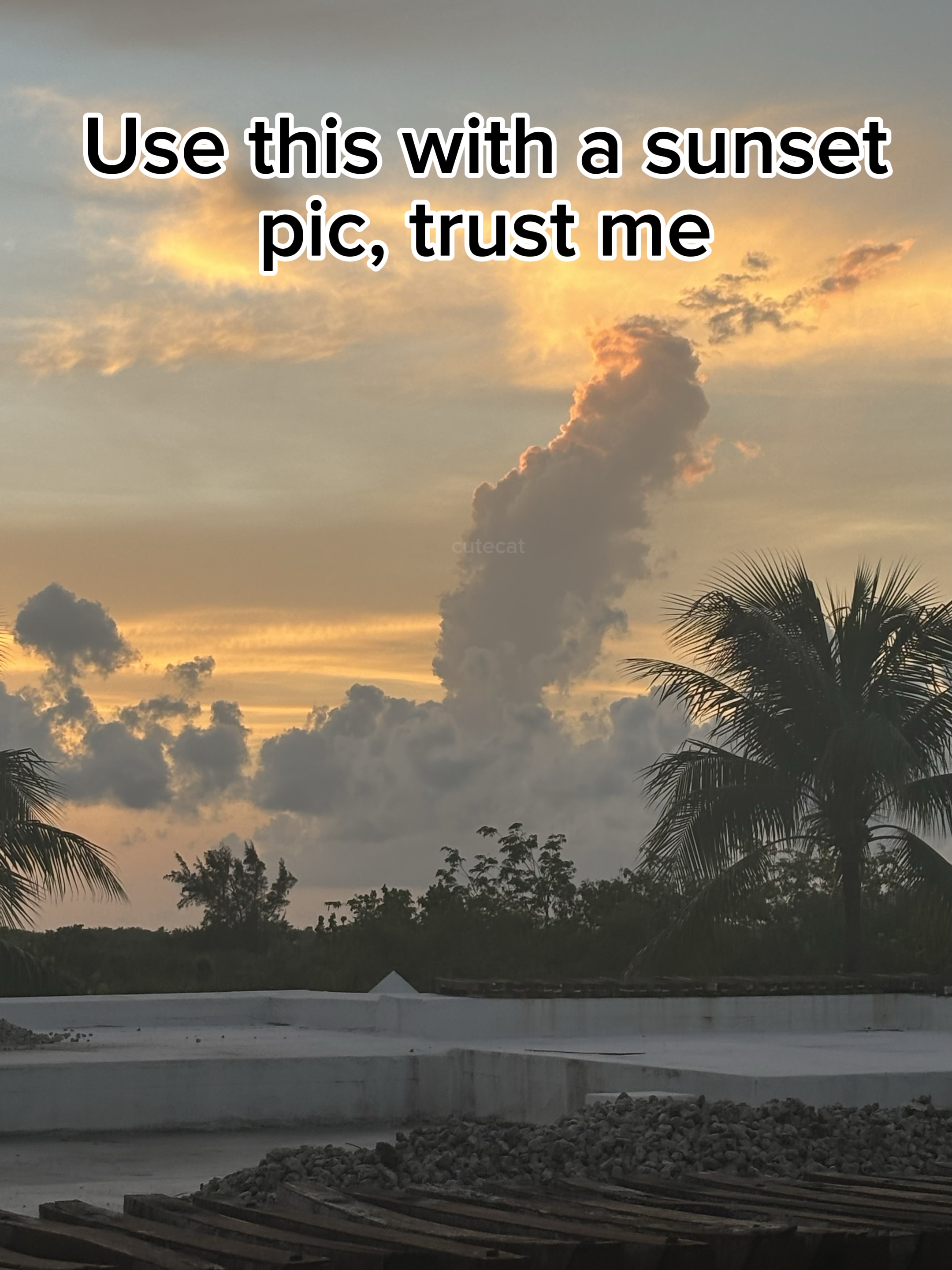 Foto do pôr do sol