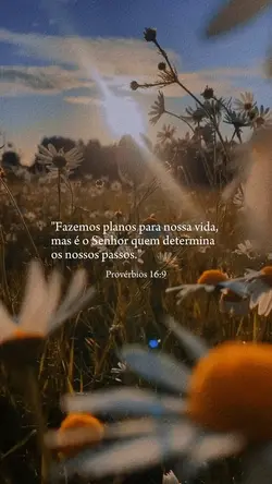 Versículo do dia
