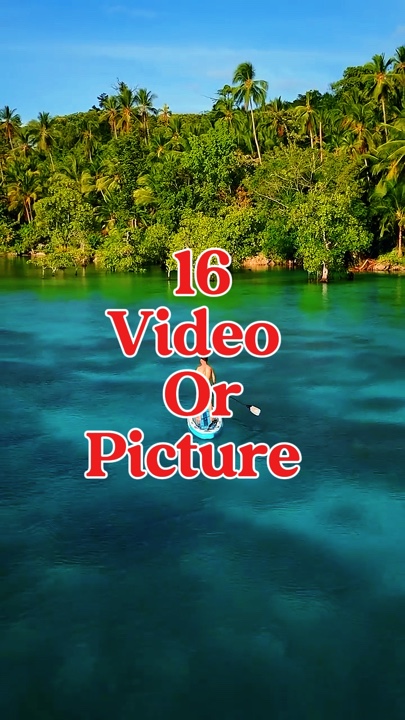 16 video or picture 