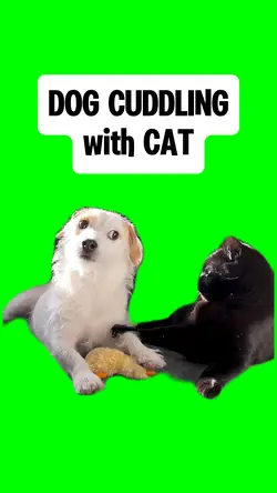 DOG CUDDLING