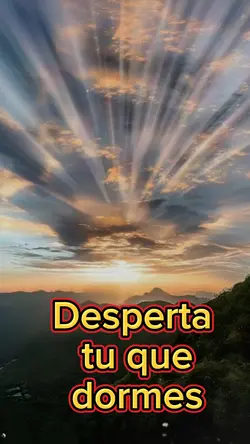 desperta 