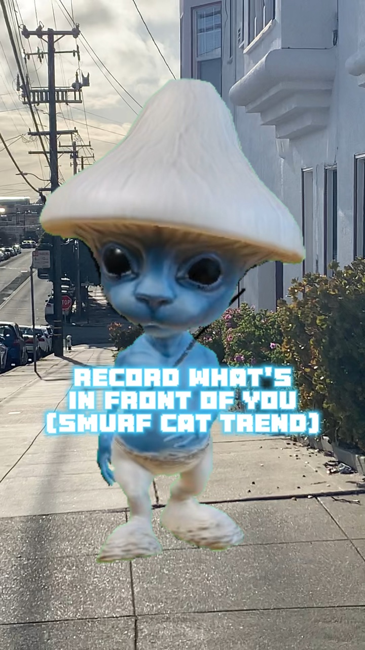 recording smurf cat