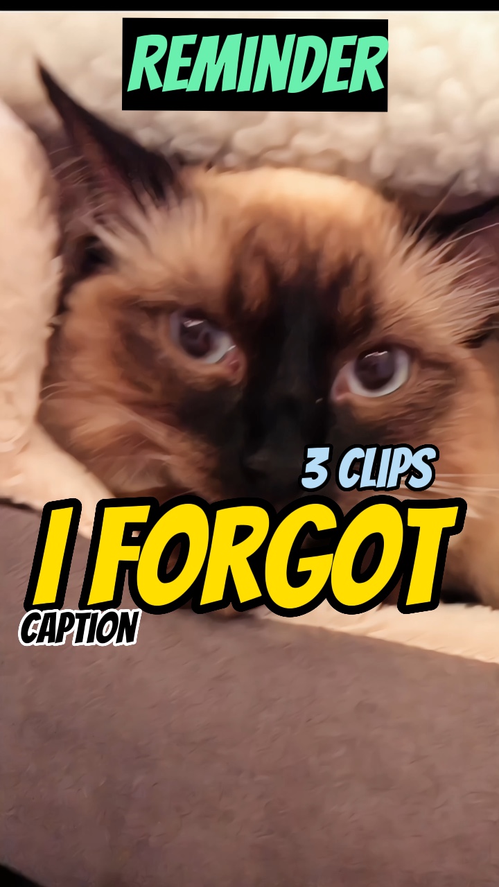 I forgot something!