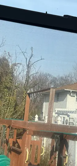 my cousin💀💀🙏🏻🙏🏻