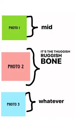 preference