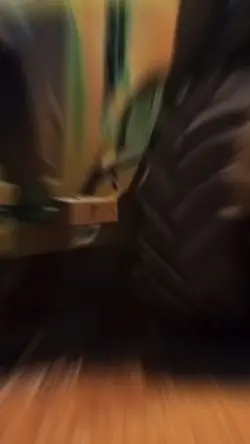 🎶Eu Queria Ser Peão💥
