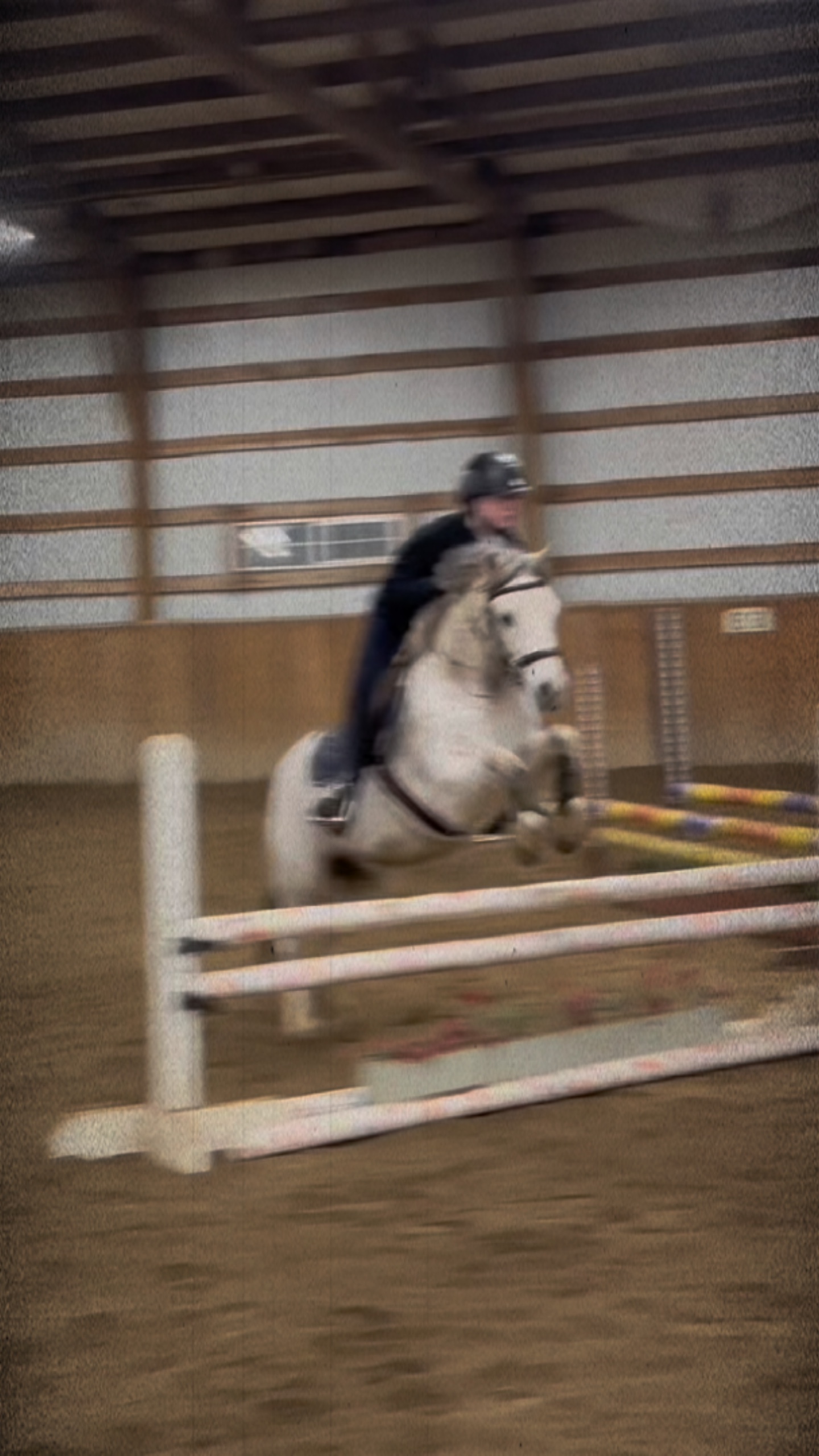 Joey!