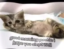 Slept well pookie