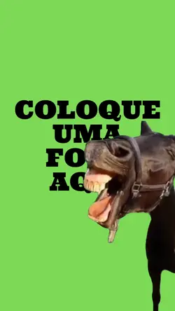 MEME CAVALO