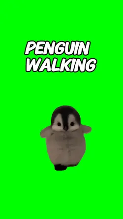 Pinguin Walking 