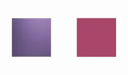 best friends forever