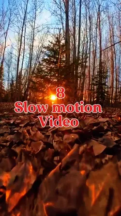8 slow motion video 
