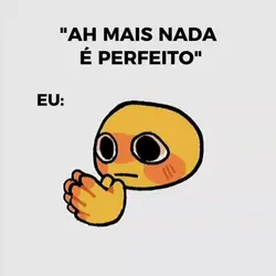 nada é perfeito meme
