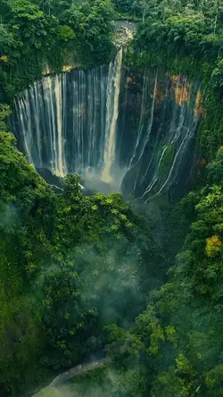 New template 5 clips