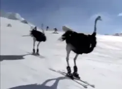 Ski time
