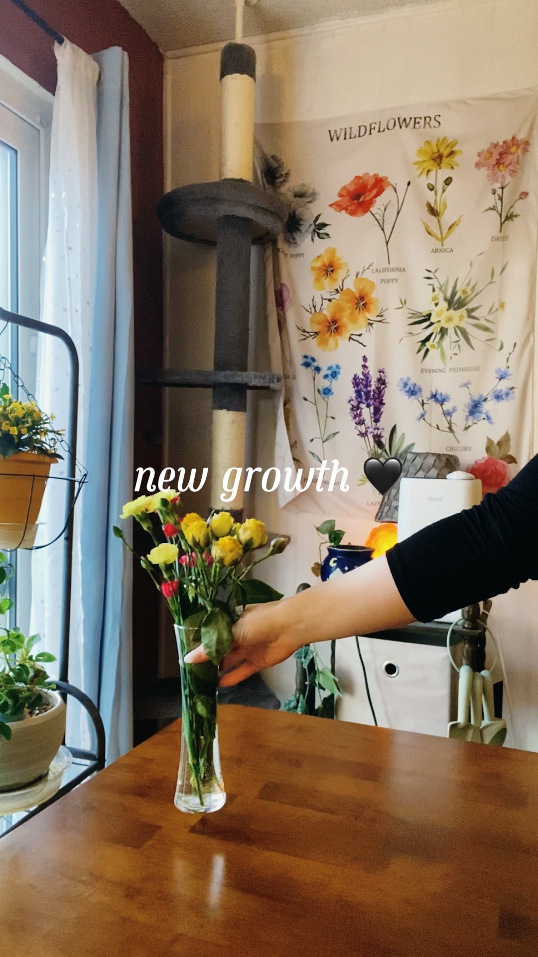 Springtime mini vlog