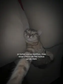 Indireta 