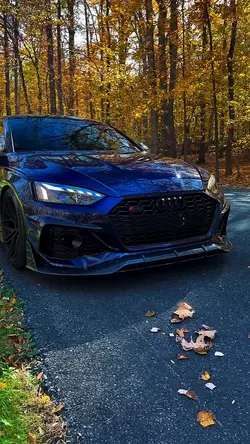 Audi Edit beautiful