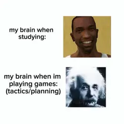 My brain: