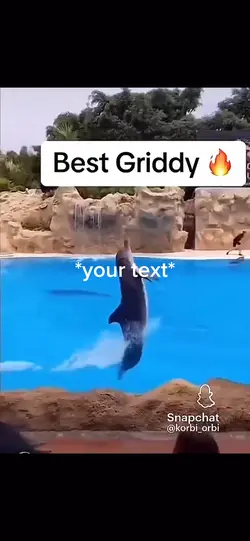 Dolphin griddy 