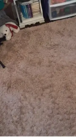 Annoying teachers 😒