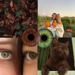 green + brown eye
