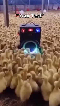 Duck Rave 🦆