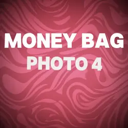 Money Bag