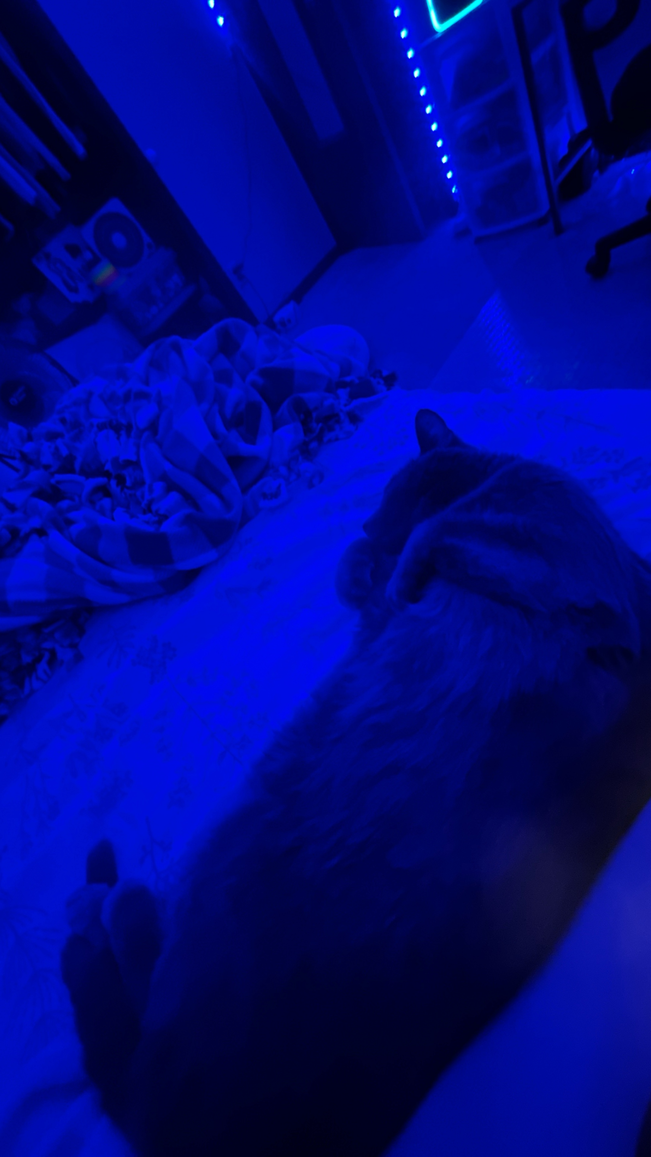 mon bb.      