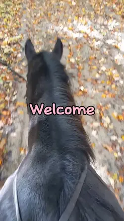 Welcome home