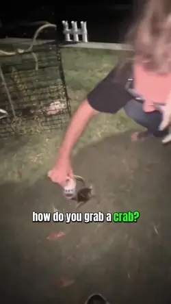 Crab?!