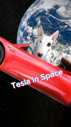Tesla in Space