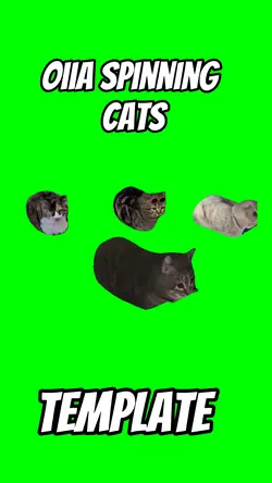 Oiia spinning cats