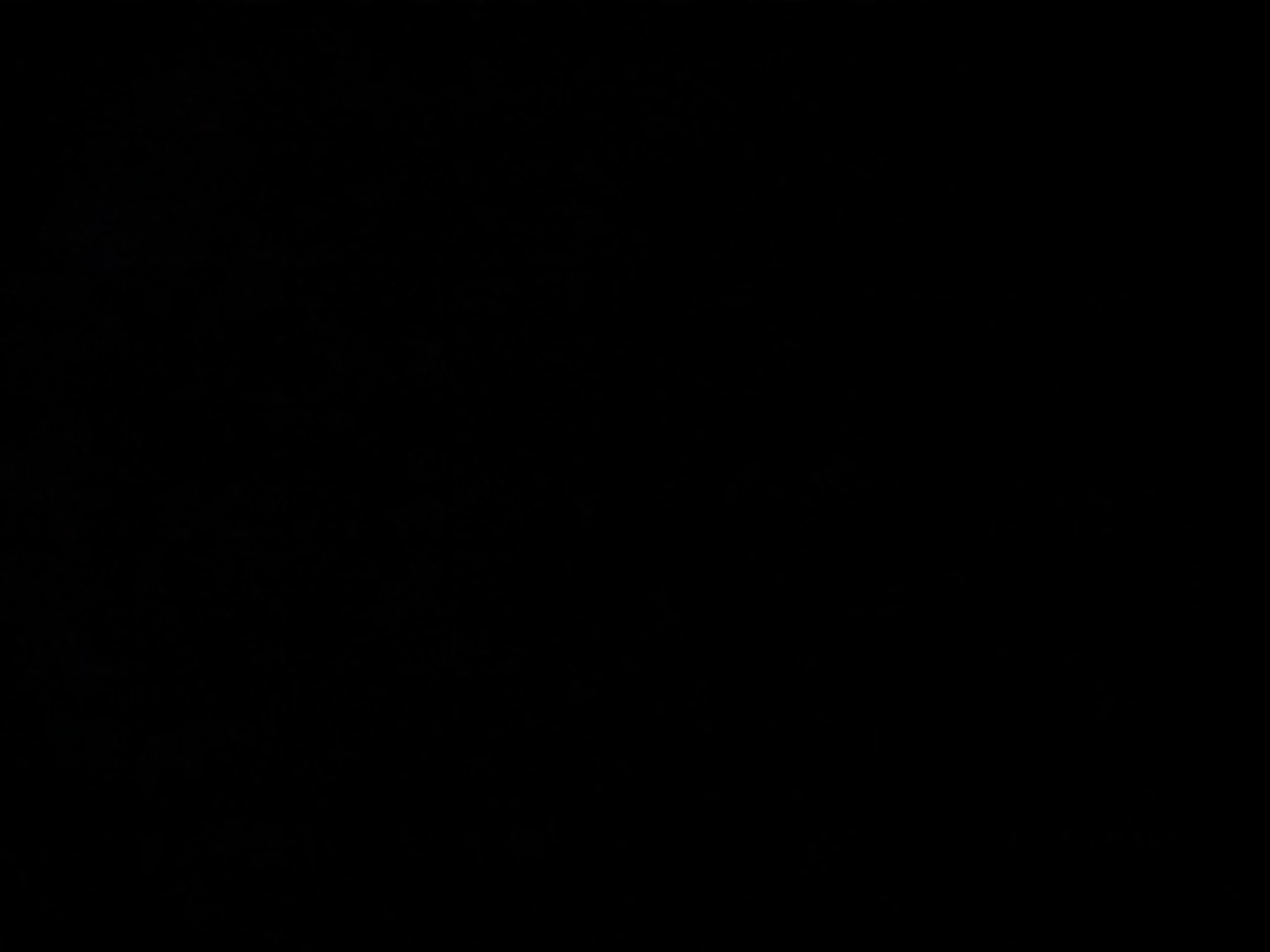 Love softball 🤘