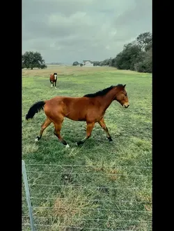 Ranchito a Caballo