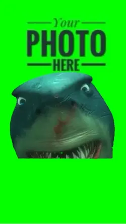 Shark Finding Nemo 