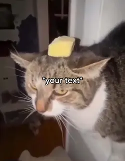 Buttah cat