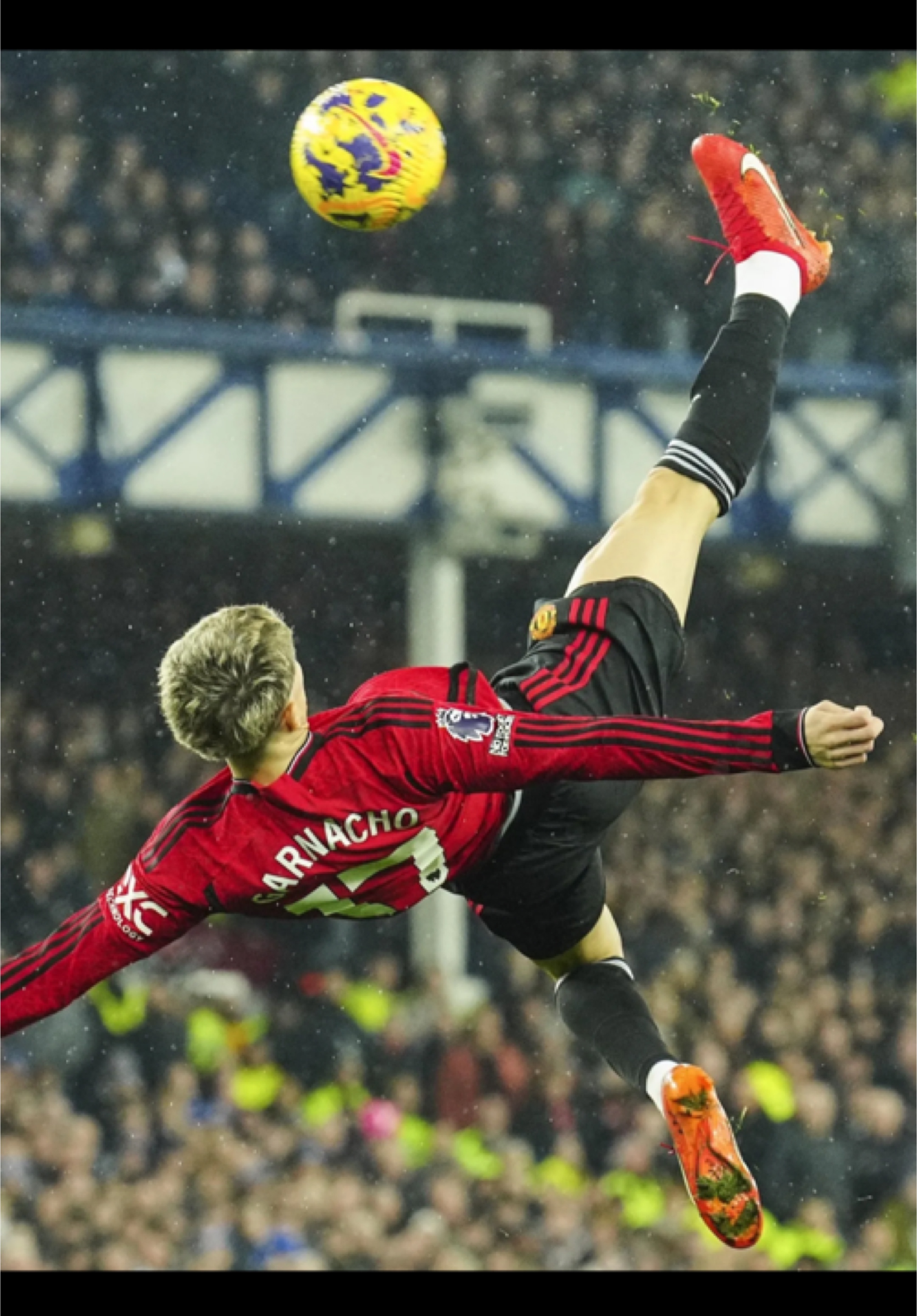Cover Picture