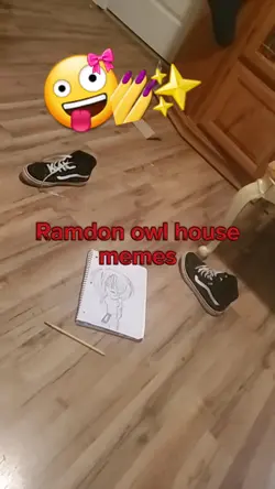 ramdon owl house mem