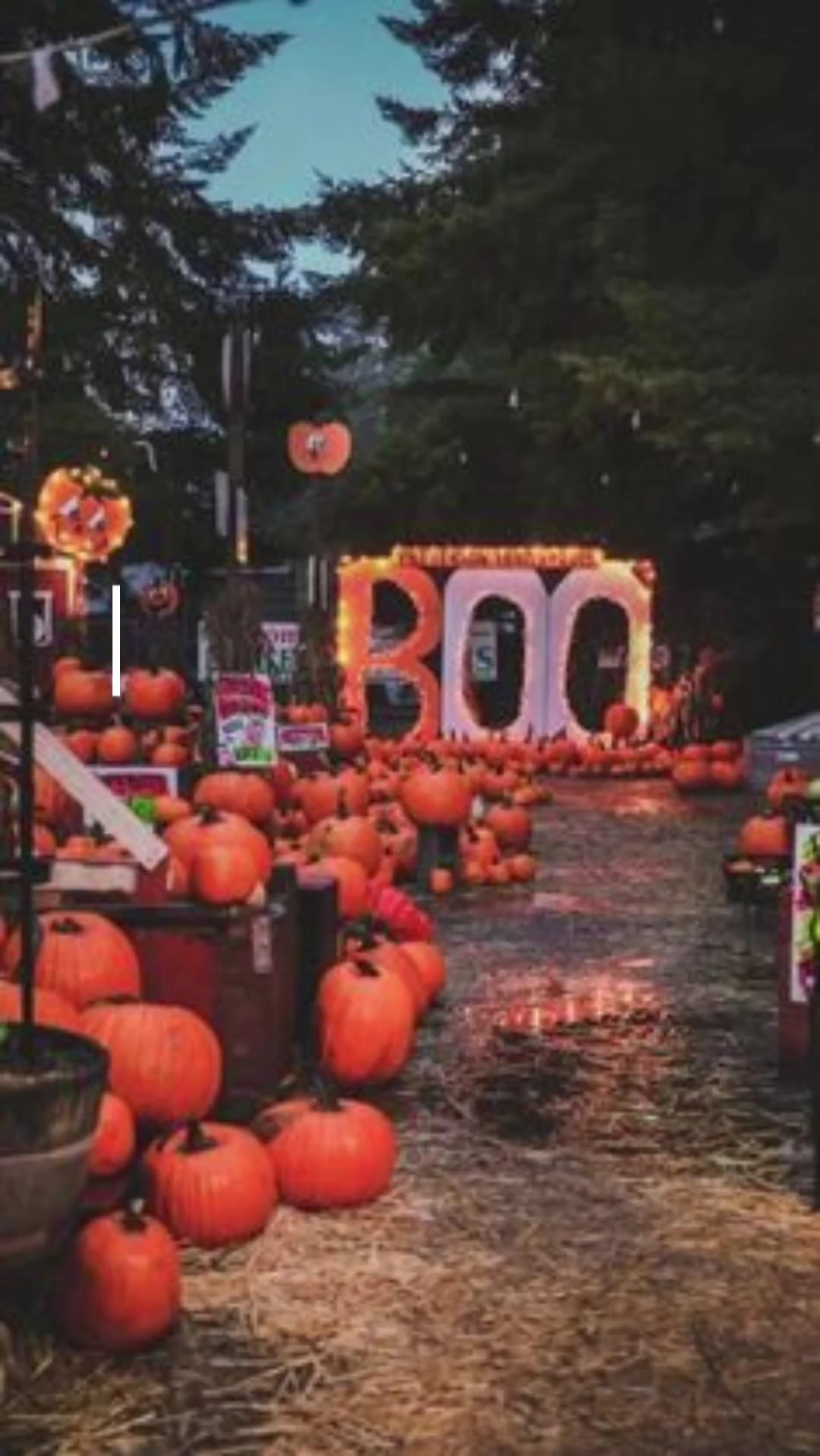 Oktober-Vibes>>