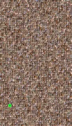 Lots of people 