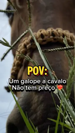 Pov: galope a cavalo