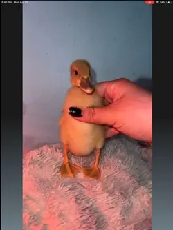This bitch is haunte
