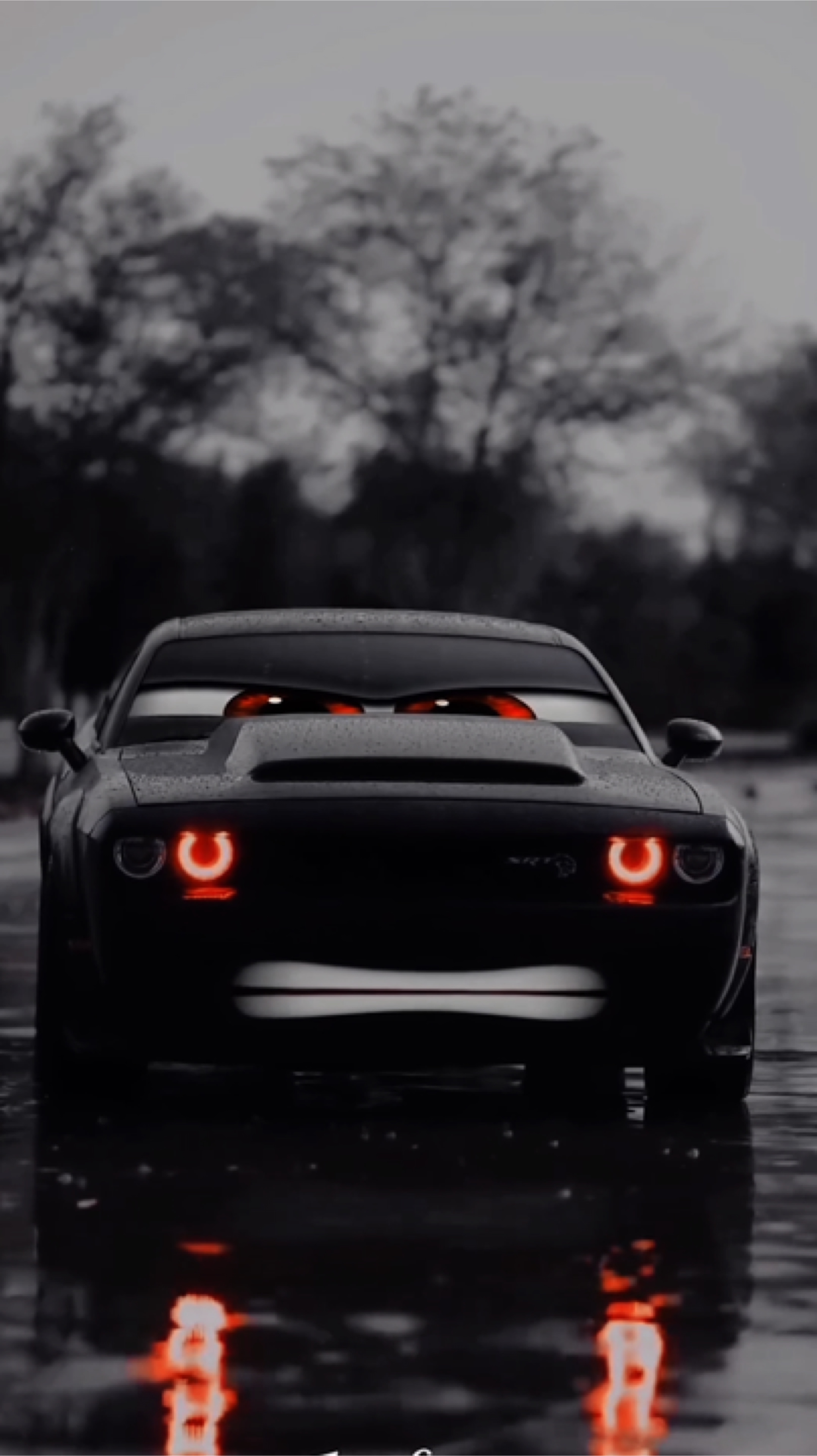 😡CAR